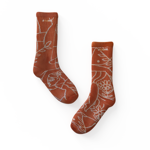CATIMINI・Chaussettes tissées・Terra